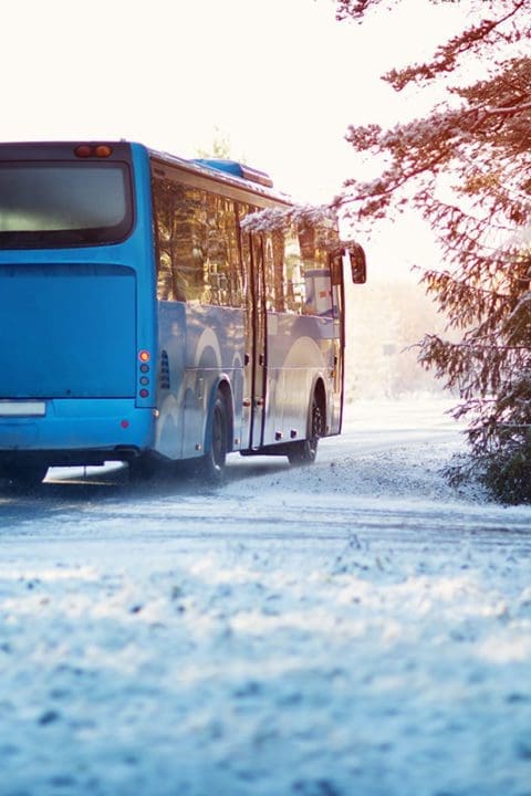 Busreisen Gruppenreisen Shutterstock 1