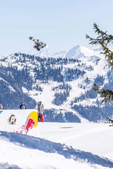 Gert Perauer Mathias Weissenbacher Gert Perauer 1