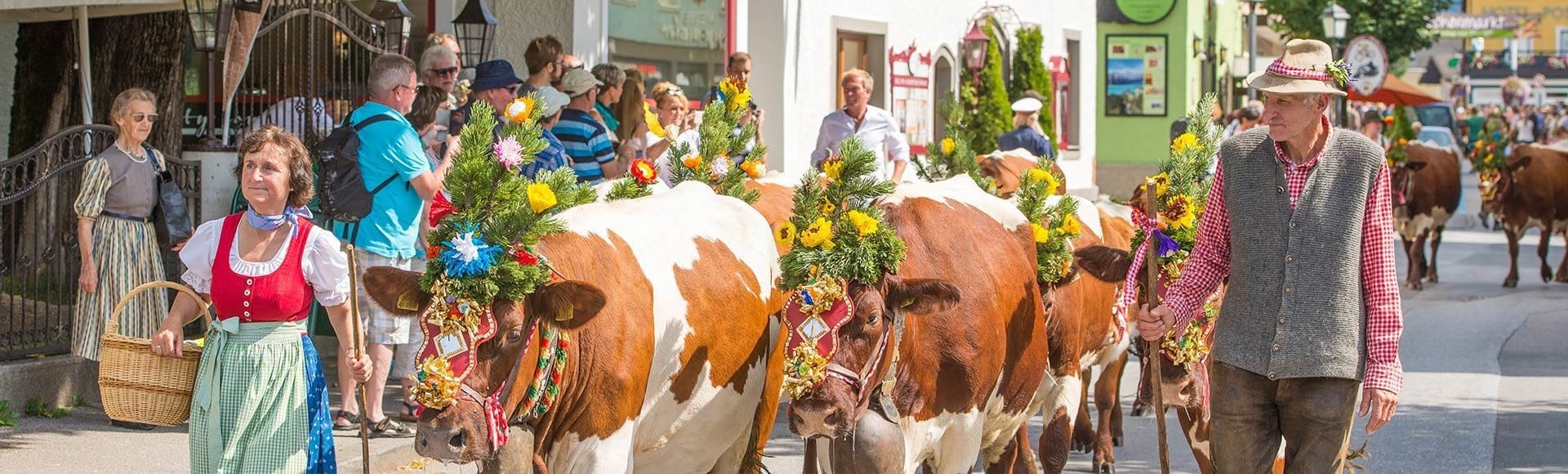 Almabtrieb Tourismusverband Radstadt Lorenz Masser 2