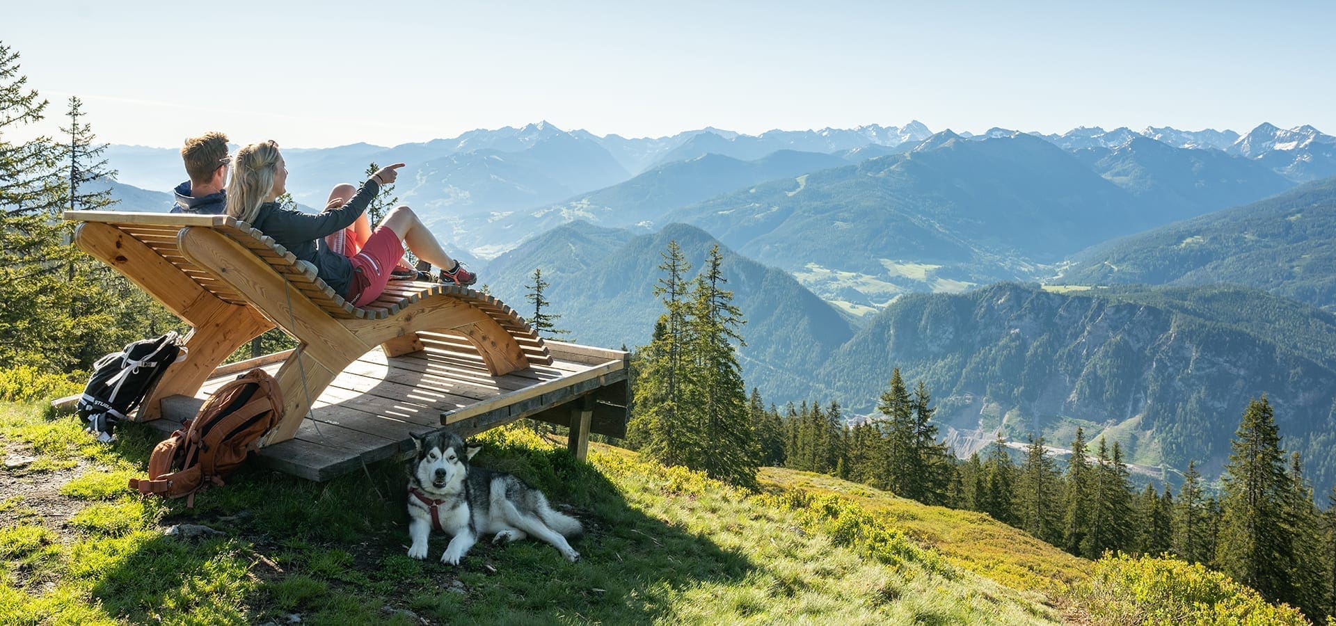 Alles zum Urlaub mit Hund