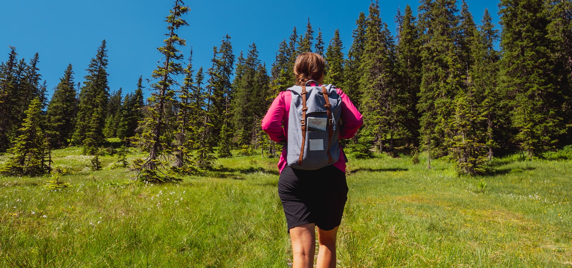 Wanderer bei Wandertour in Radstadt auf grünen Wiesen / Andrea Bichler