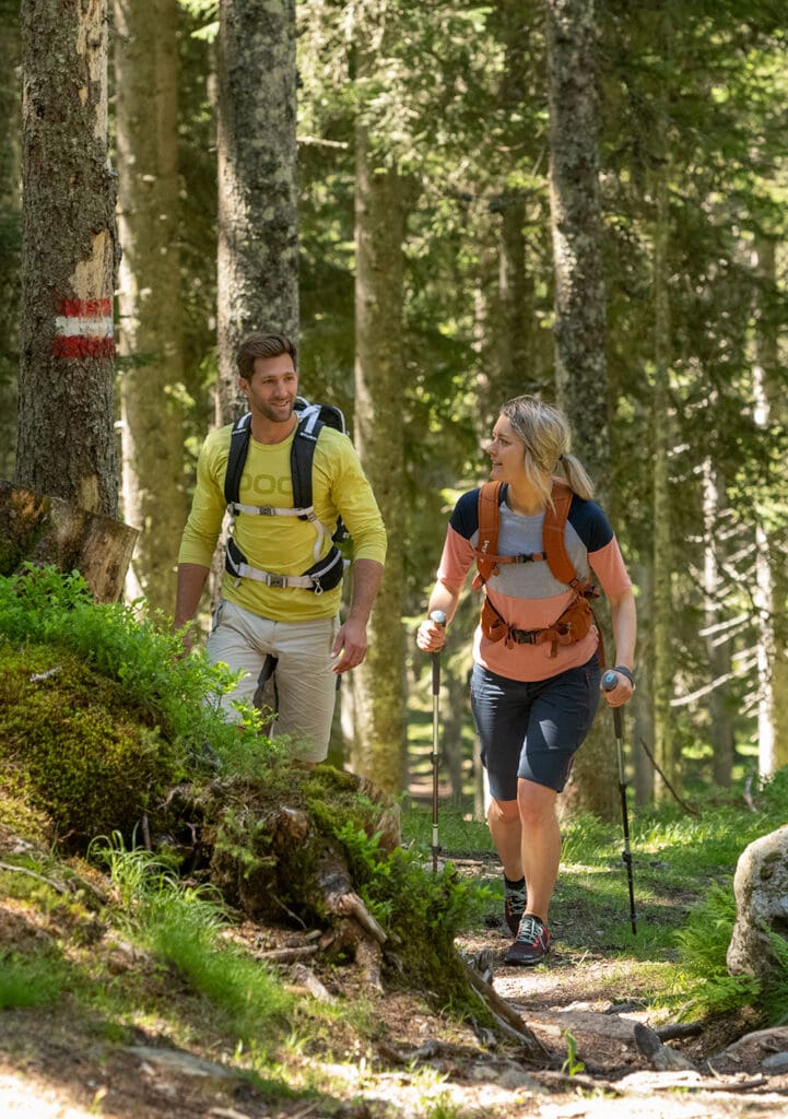 Salzburger Almenweg Radstadt