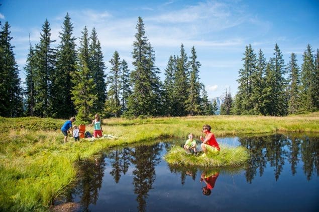 Wandern Rossbrand Tourismusverband Radstadt Hans Huber 2